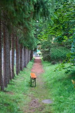 Bild 79 - Ostsee-Cup